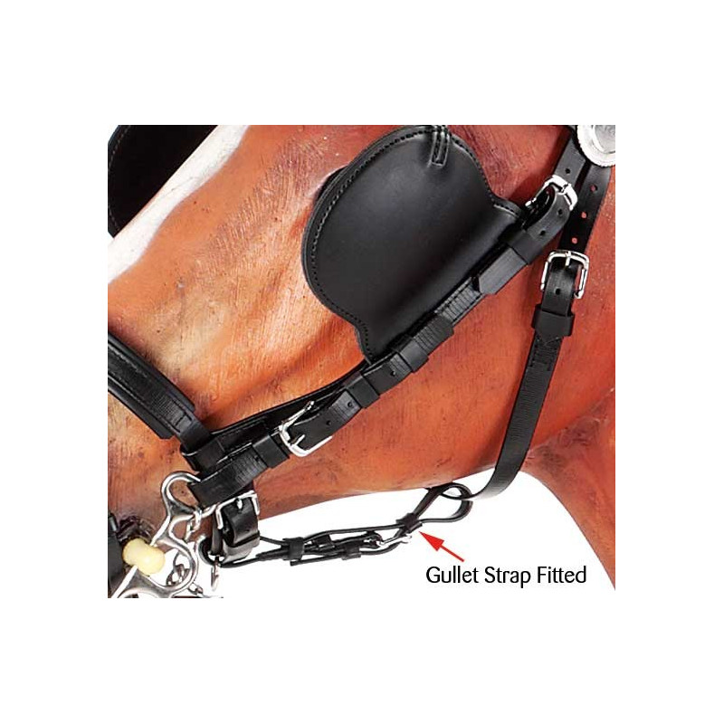 Guida Cinghia Al Miglior Prezzo | Leroy Merlin - Foto 4