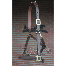 Luxe leren halster voor trekpaard