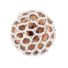 Knotnetje met strass-steentjes