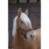 Halster voor trekpaard, Shire
