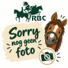 (Mini) Shetlandtuig, luxe line, messing gespen, van RBC®.
