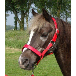 HB Halster lak shine voor de mini shetlander en shetlander
