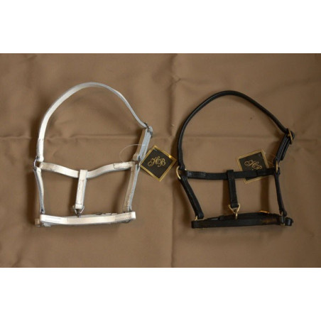 (Mini) Shetlandhalsters